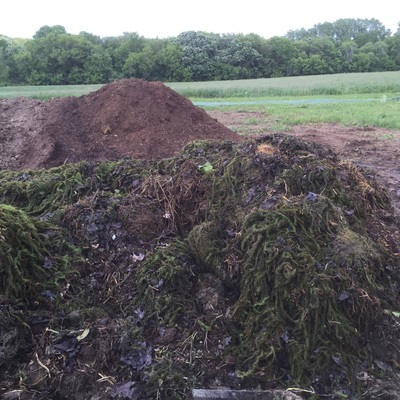 Lakeweed and leaves bring added nitrogen and carbon to the compost
